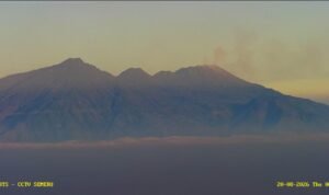 Karhutla Arjuno Welirang Gunung Arjuno-Welirang