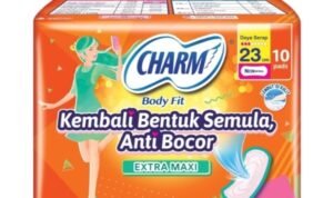 pembalut wanita tetap dikenai ppn djp jelaskan alasannya